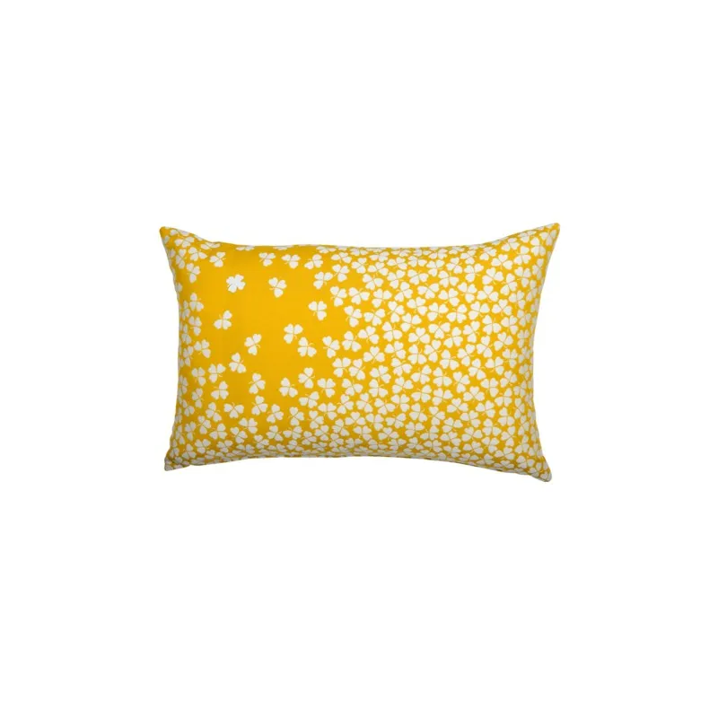 Image produit