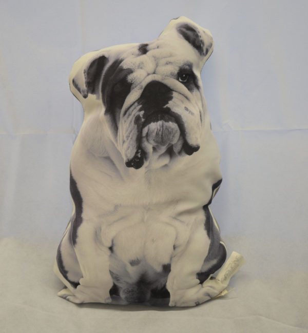 Coussin bulldog